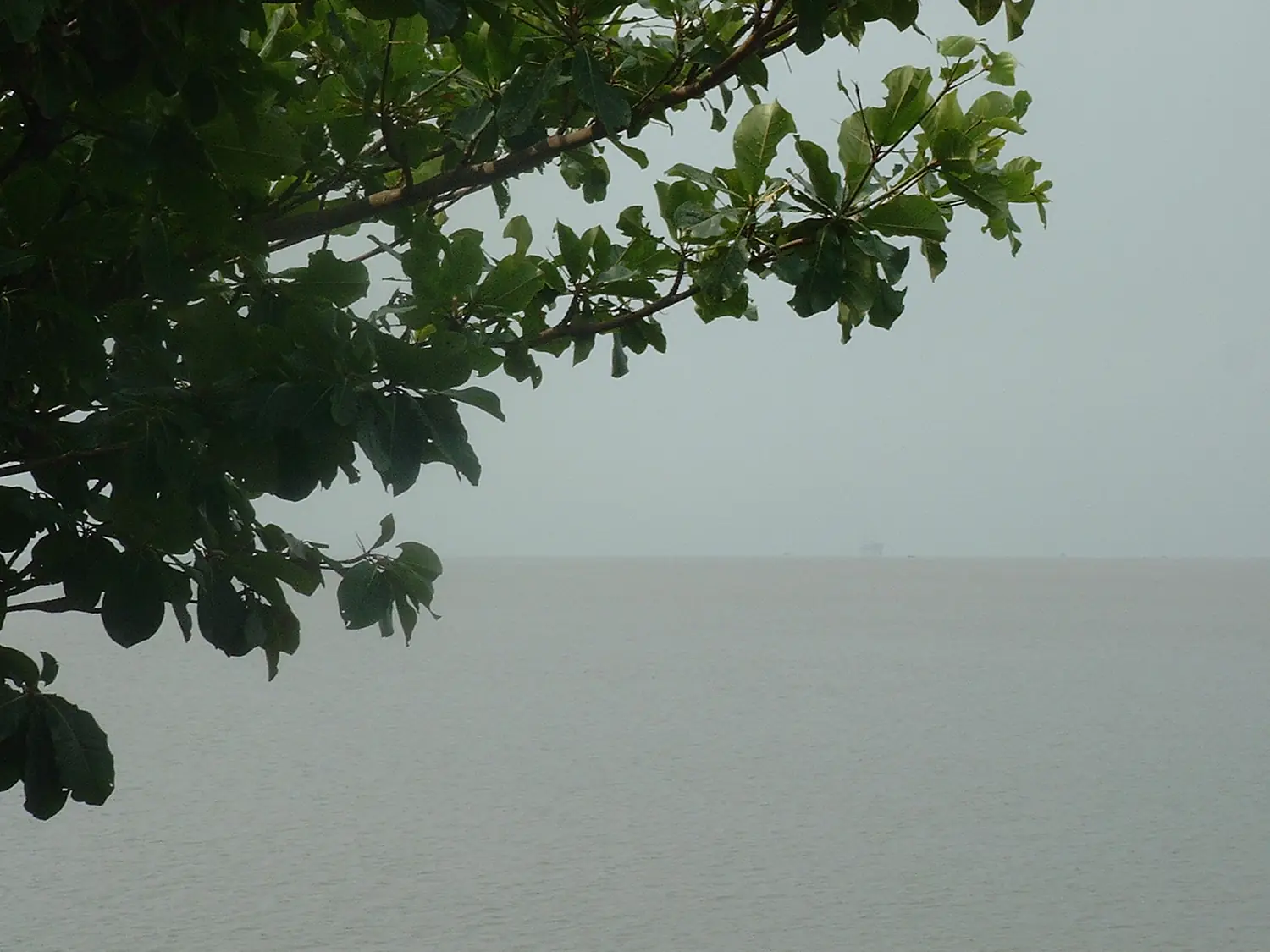 Embouchure du Wouri