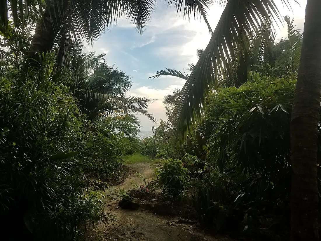 Berges du Wouri 01