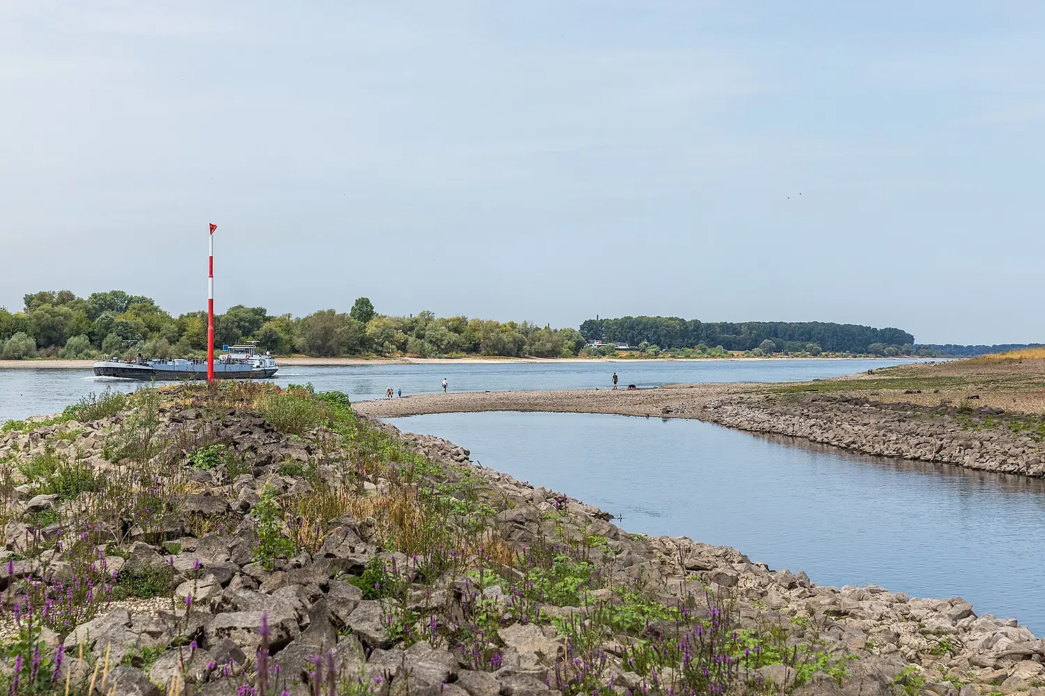 Mündung der Wupper in den Rhein bei Niedrigwasser 2026-7666