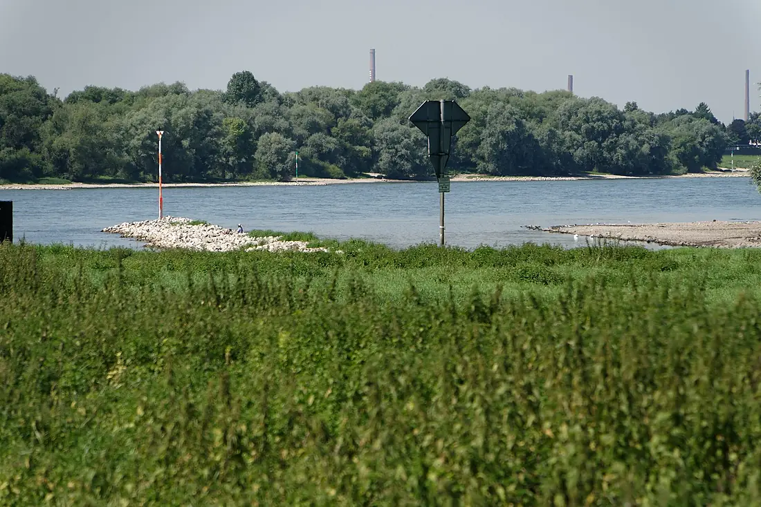 Wuppermündung in den Rhein