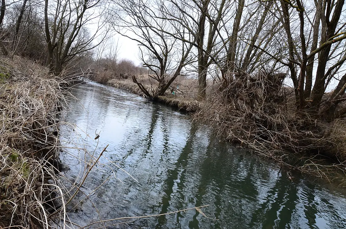 Zala River