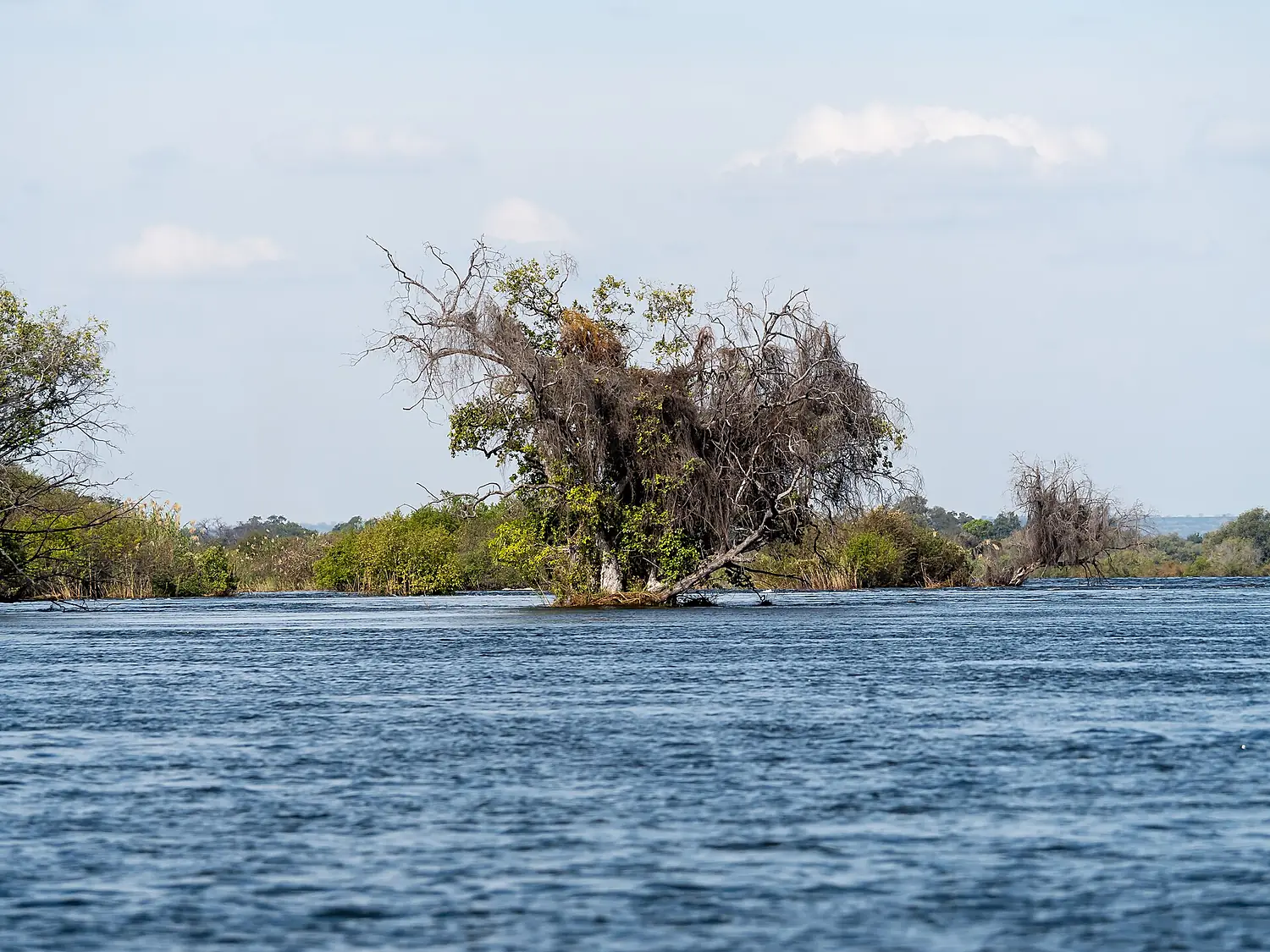 Zambezi Speedboat Tour, Livingstone (20260521-P1086670)