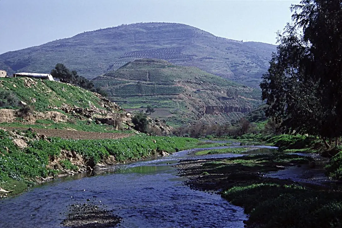 Tulul adh-Dhahab and Jabbok in spring