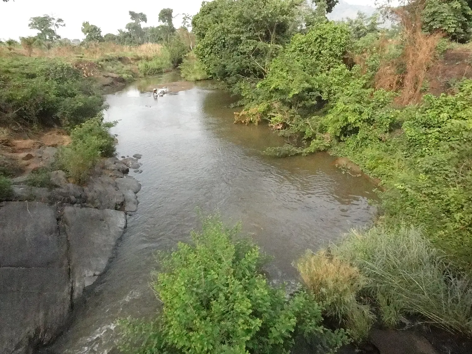 Agriculture in inland valleys in Togo - panoramio (1)